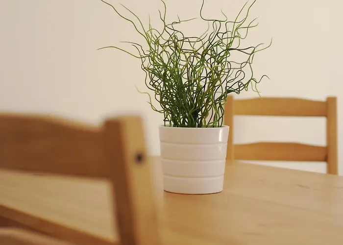 Laura By Schladmingurlaub 斯拉德明